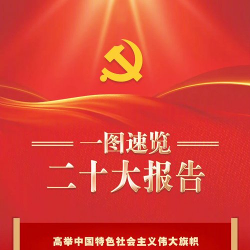 <b>一图速览二十大报告</b>